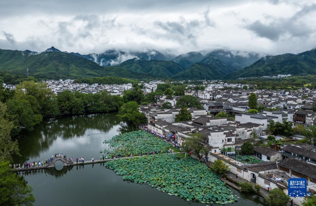 新葡亰网址